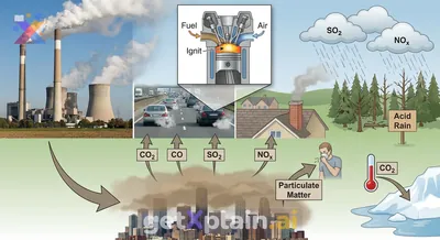 How Do Combustion Reactions Impact Our Environment?