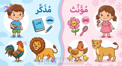 What is the Difference Between Masculine and Feminine?