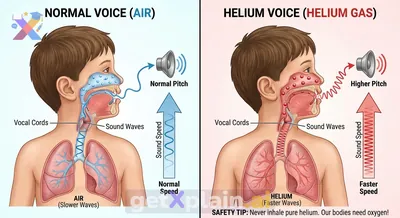 How Does Helium Change the Sound of Our Voices?