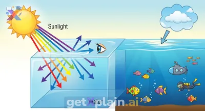 Why Does the Ocean Look Blue?