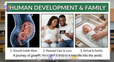 How Do Babies Grow and Come Into Our Families?