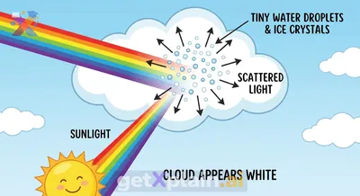 Why Do Clouds Look White in the Sky?