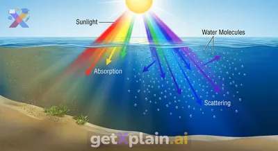 Why Does the Ocean Appear Blue?