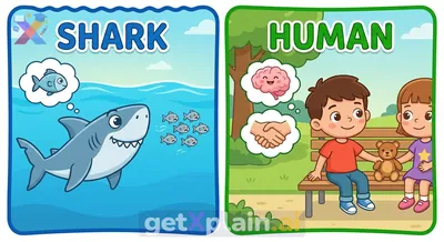 Why Do Sharks Act Aggressively While Humans Stay Calm?
