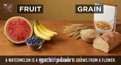 Is a Watermelon a Grain? Understanding Fruits!