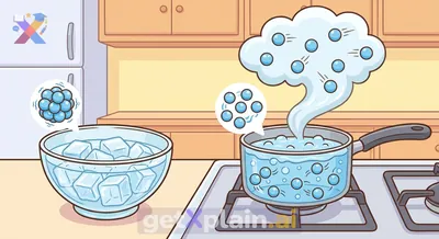 What Are the Three Main States of Matter?