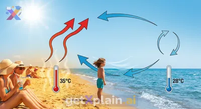 Why are coastal areas hot in summer despite sea breezes?