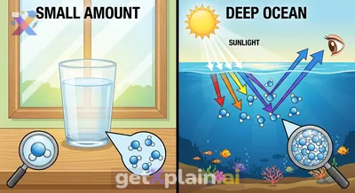 Why Does the Ocean Appear Blue?