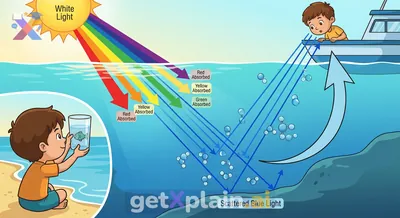 لماذا تبدو المحيطات زرقاء بينما الماء صافٍ؟