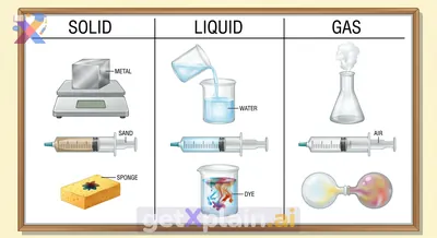 How Do Solids, Liquids, and Gases Behave and Differ?