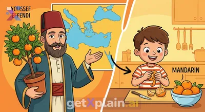What is a Youssef Effendi and how did it get its name?