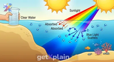 Why Does the Ocean Appear Blue?