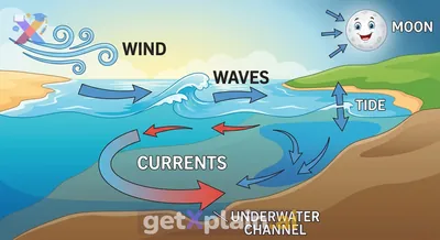 Why Do Ocean Waters Move Quickly?