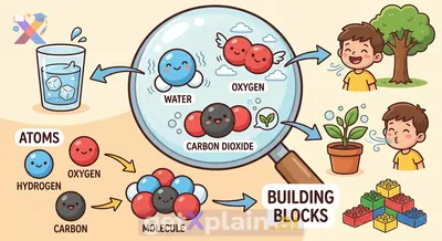 What Are Molecules and Why Are They Important?