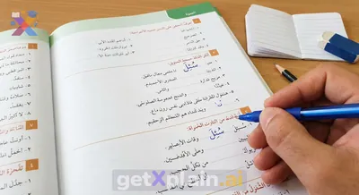 How to Solve Arabic Hamza Grammar Exercises?