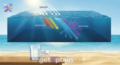 Why Does Ocean Water Appear Blue?