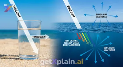 Why Does Ocean Water Appear Blue?