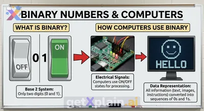 How Do Computers Understand and Use Binary Numbers?