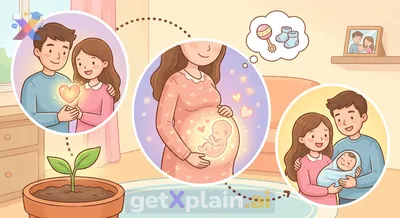 How Do Babies Come into the World?