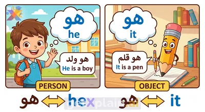 How Do We Use 'He' and 'It' in English?