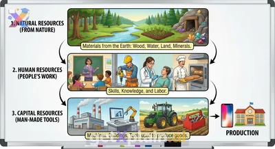 What Are the Three Main Types of Resources?