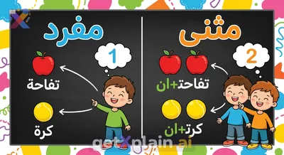 What is the Difference Between Singular and Dual Nouns?