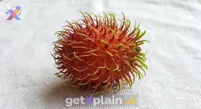 Can You Identify This Unique Reddish-Orange Spiky Fruit?