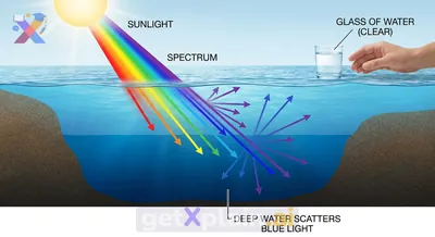 Why Does the Ocean Appear Blue?