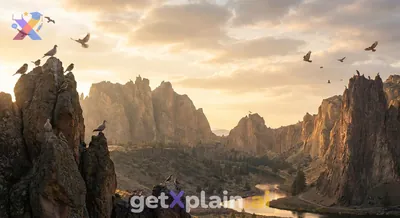 Which Prophet Was Accompanied by Glorifying Mountains and Birds?