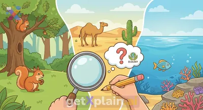 What Are Living Organisms and Their Habitats?