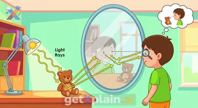 كيف تعكس المرايا الضوء لنرى كل ما حولنا؟
