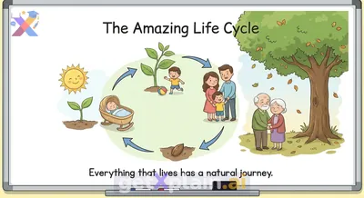 Why Do All Living Things Have a Life Cycle?