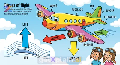 How Do Airplanes Take Flight and Soar?