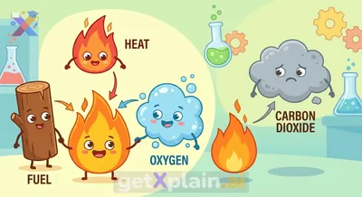 Which Gas Helps Things Burn and Explains Combustion?