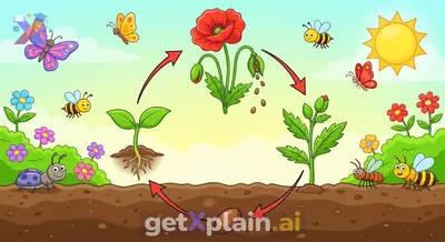 ما هي المفاهيم الأساسية التي سنتعلمها في درس العلوم الثالث؟