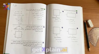 Roro, How Can We Solve These Math Workbook Problems?