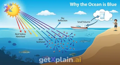 Why Does the Ocean Look Blue If Water Is Clear?