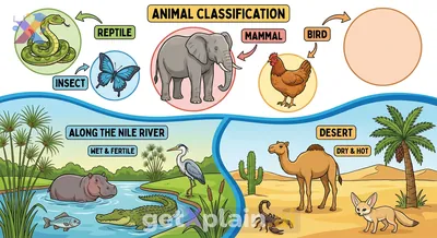 Classifying Animals and Comparing Environments: Nile vs. Desert