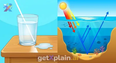 Why Does the Ocean Appear Blue?