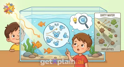 لماذا نستطيع الرؤية من خلال الماء؟