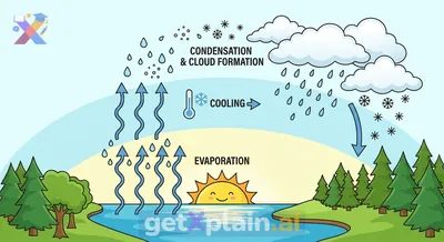 How Do Clouds Form in the Sky?